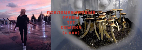 ГАЛЛЮЦИНОГЕННЫЕ ГРИБЫ Заволжск