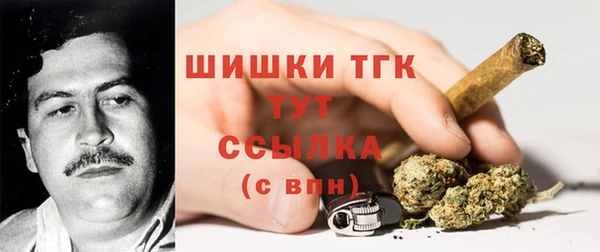 гидропоника Заводоуковск