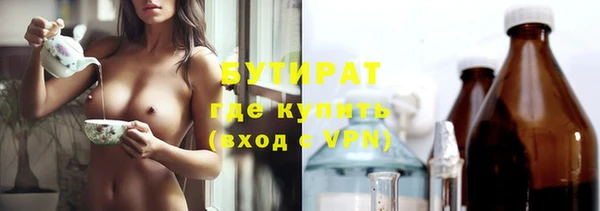индика Ельня