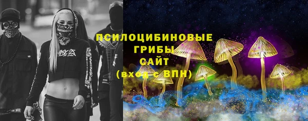 ГАЛЛЮЦИНОГЕННЫЕ ГРИБЫ Заволжск