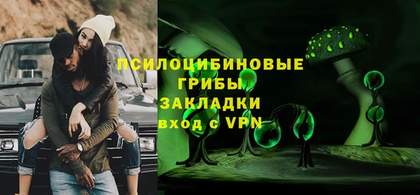 ГАЛЛЮЦИНОГЕННЫЕ ГРИБЫ Заволжск