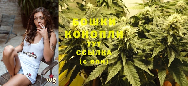 ГАЛЛЮЦИНОГЕННЫЕ ГРИБЫ Заволжск