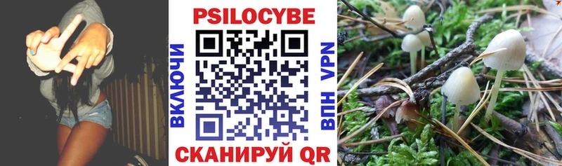 Купить где  Обнинск  Псилоцибиновые грибы MAGIC MUSHROOMS 